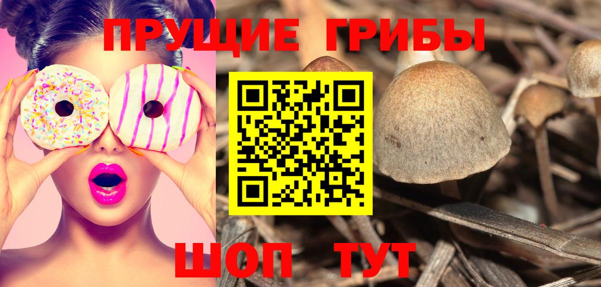 Галлюциногенные грибы мицелий  Псилоцибиновые грибы мухоморы  Фрязино  Вход с VPN 